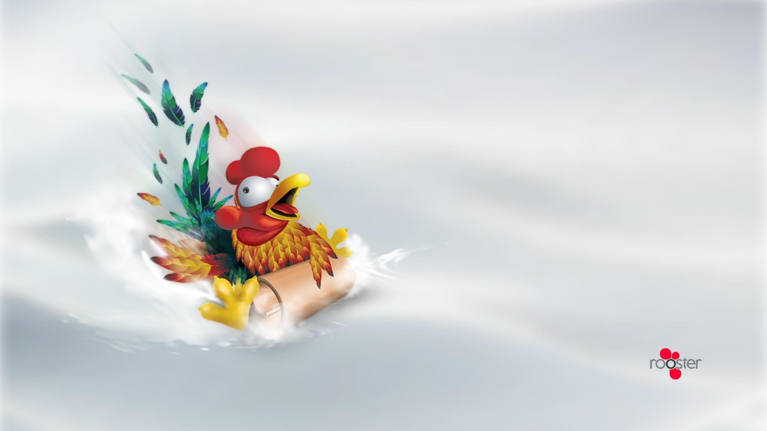 105500 Rooster pictures birds wallpapers DOWNLOAD HOLIDAY STANDARD ...
