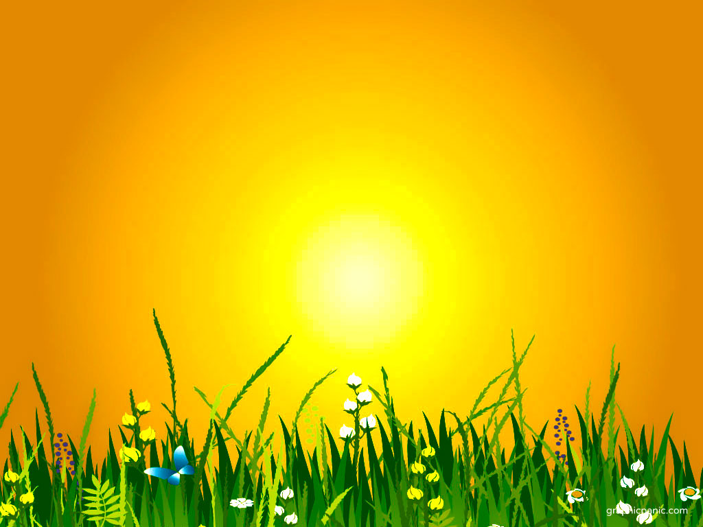 summer-backgrounds-group-61