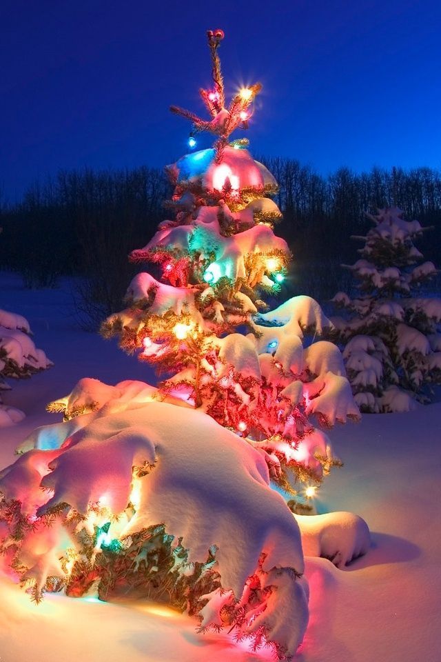 Christmas Backgrounds IPhone Group (68+)