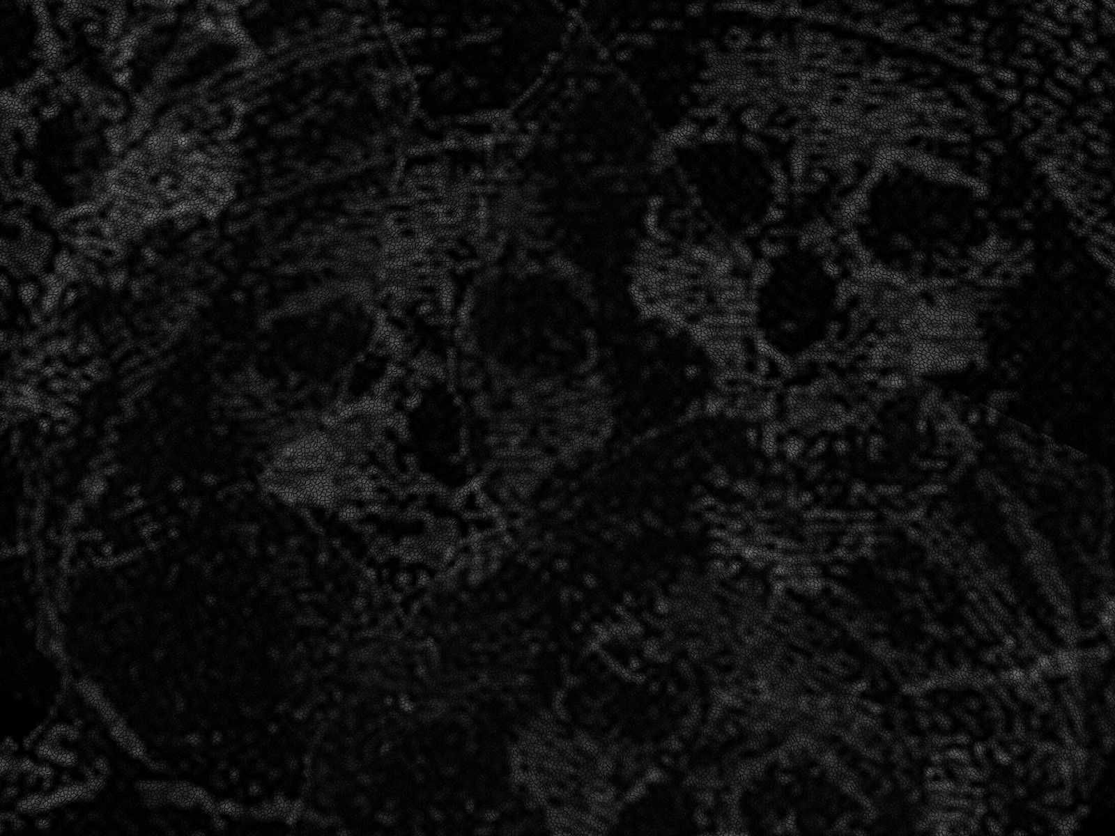 Gothic Dark Wallpapers 21 Desktop Background - Hdblackwallpaper.com