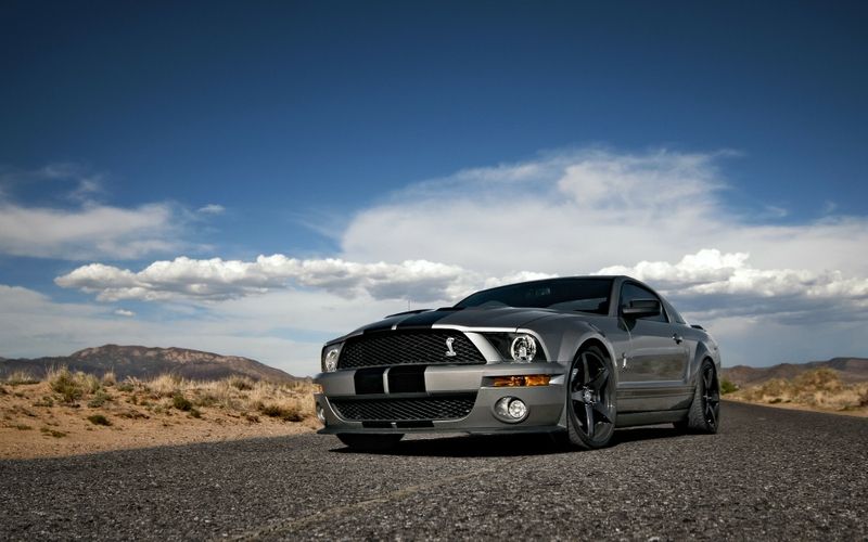 Shelby GT500 HD Backgrounds