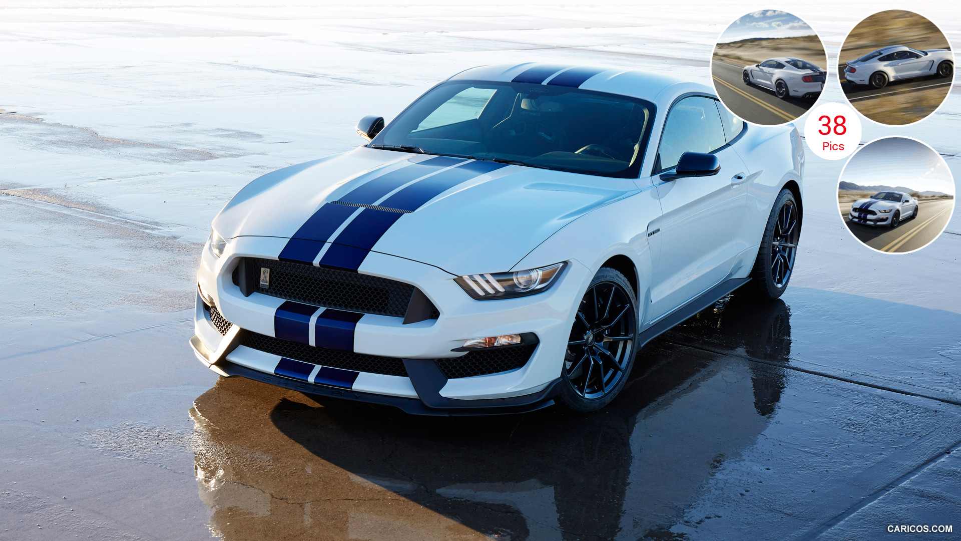 2016 Ford Mustang Shelby GT350 - Front | HD Wallpaper #10 | 1920x1080