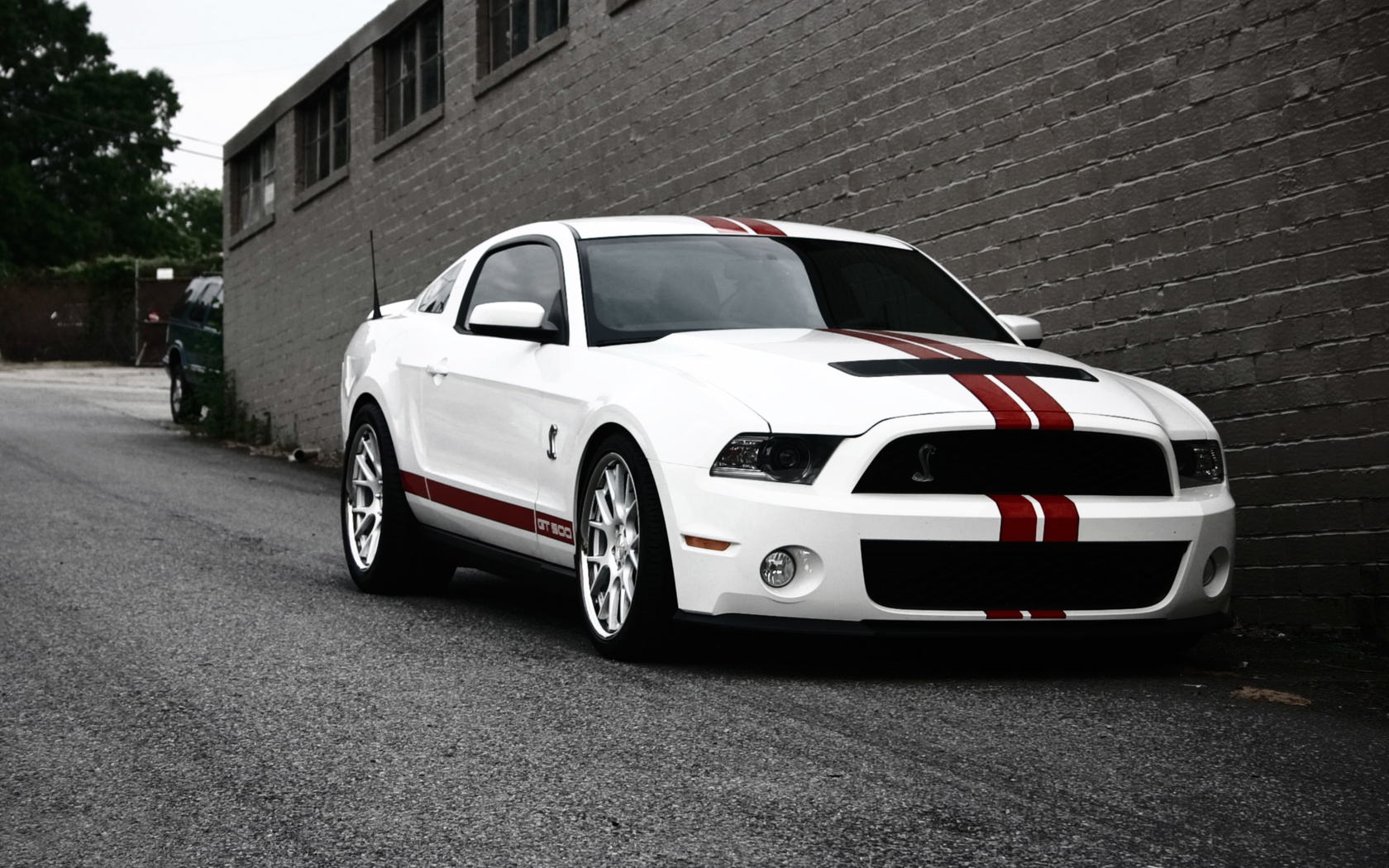 Ford Mustang Shelby Wallpaper White Red Line E Wallpaper