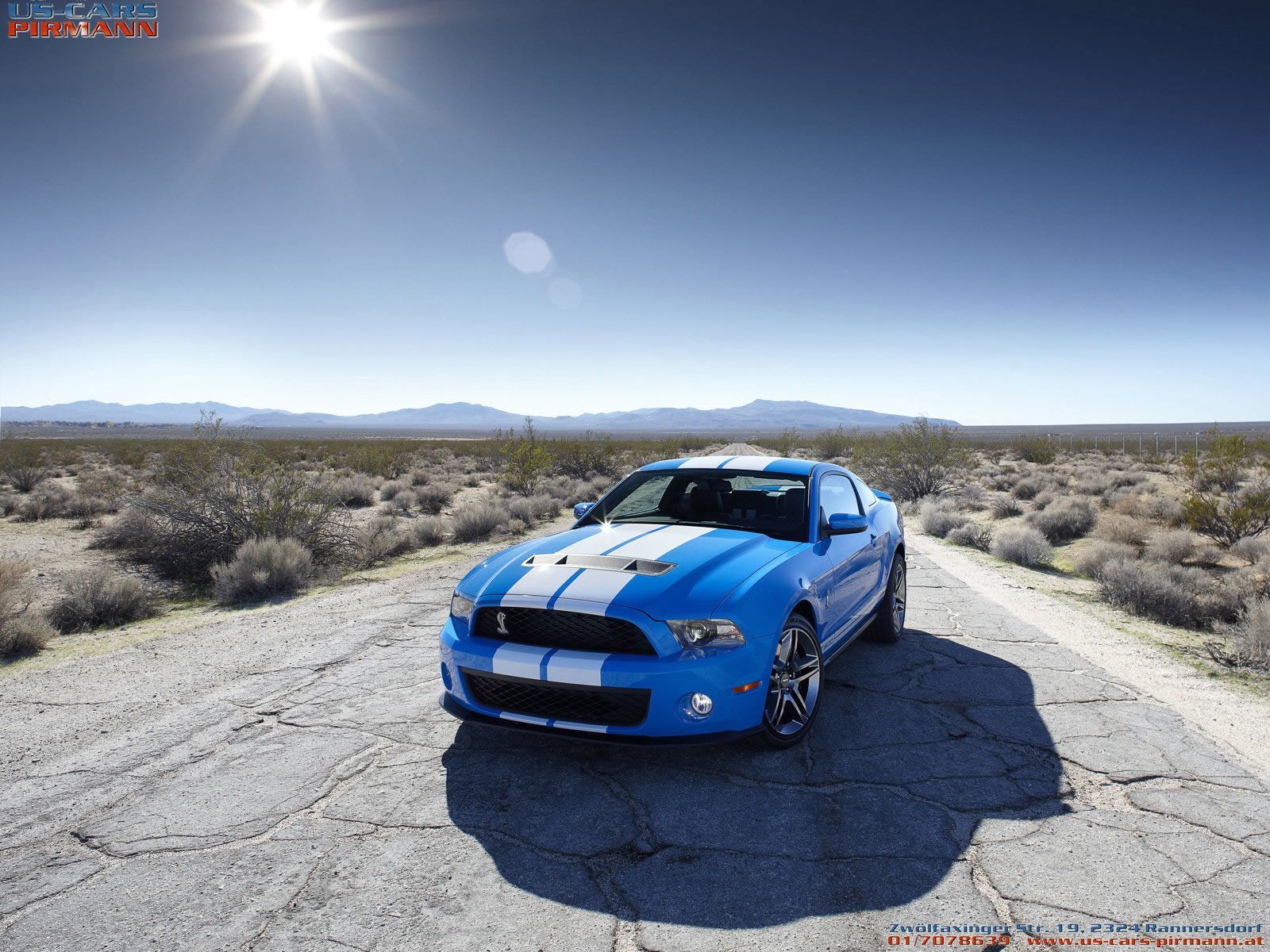 Best Of Ford Mustang Shelby Wallpaper | Full HD Pictures
