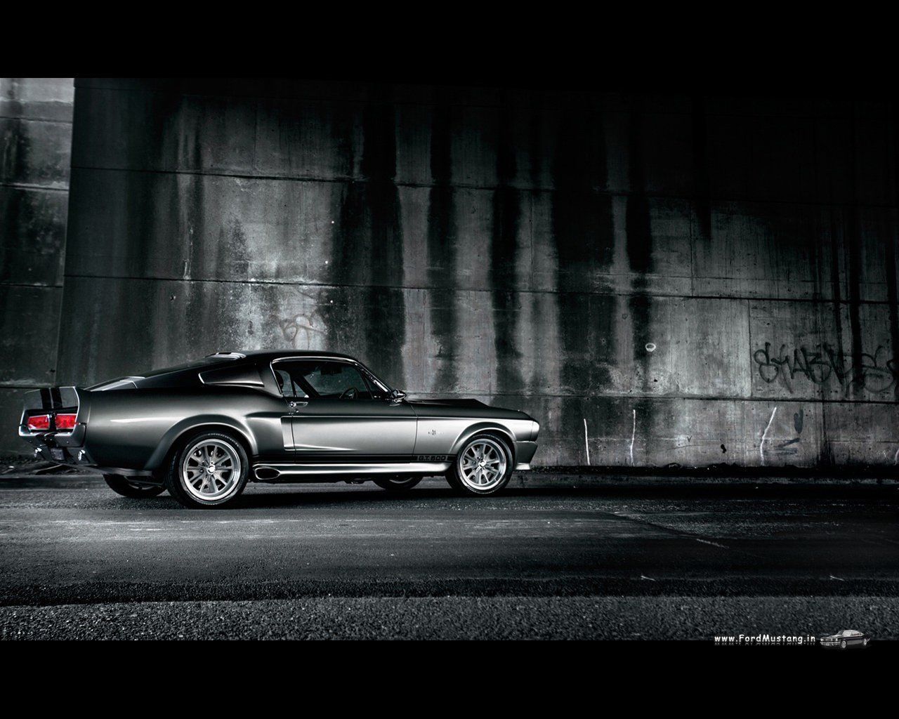 2015 Ford Mustang Shelby GT500 - image #404