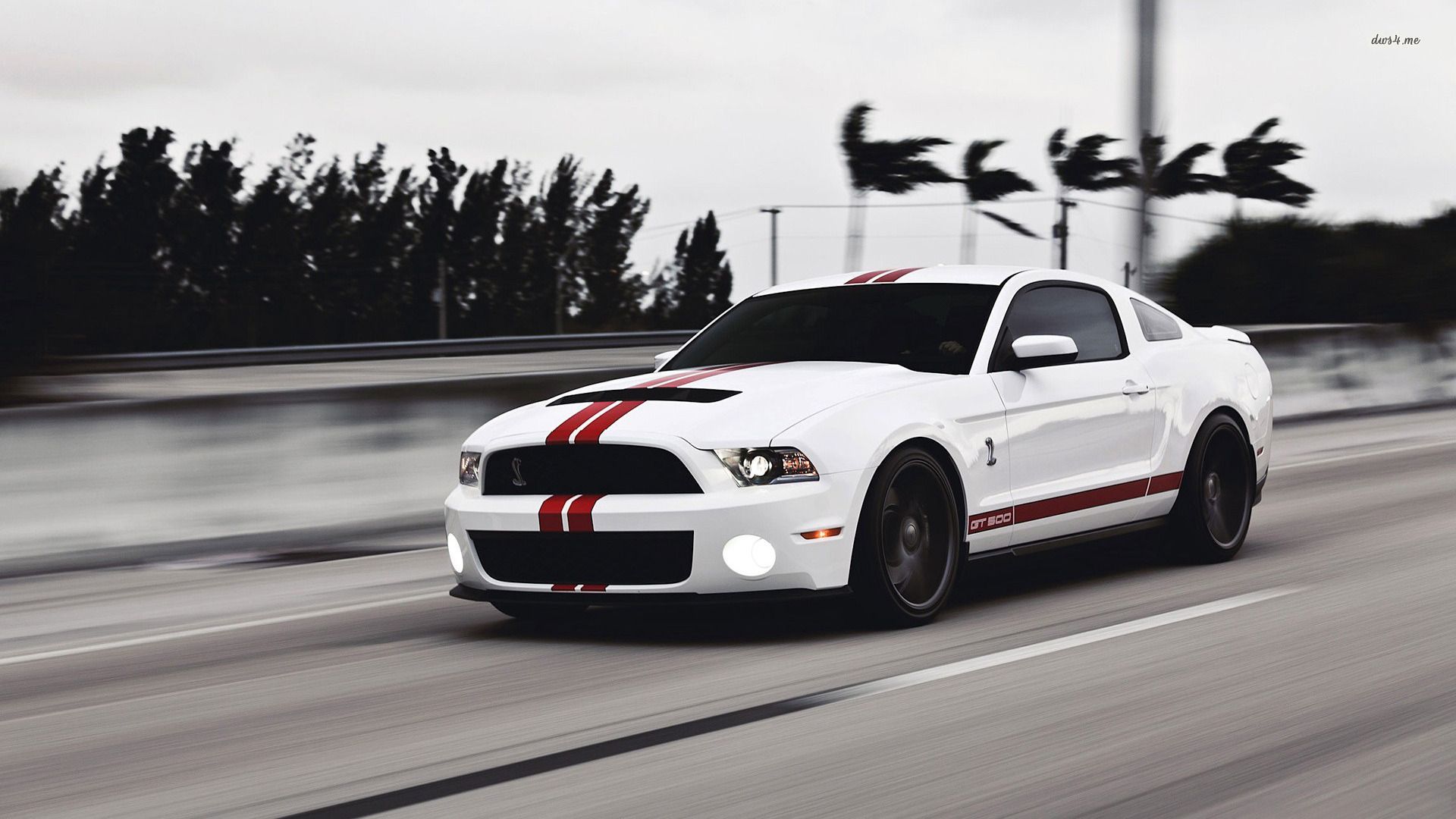 Ford Shelby Mustang GT500 wallpaper - Car wallpapers - #3792