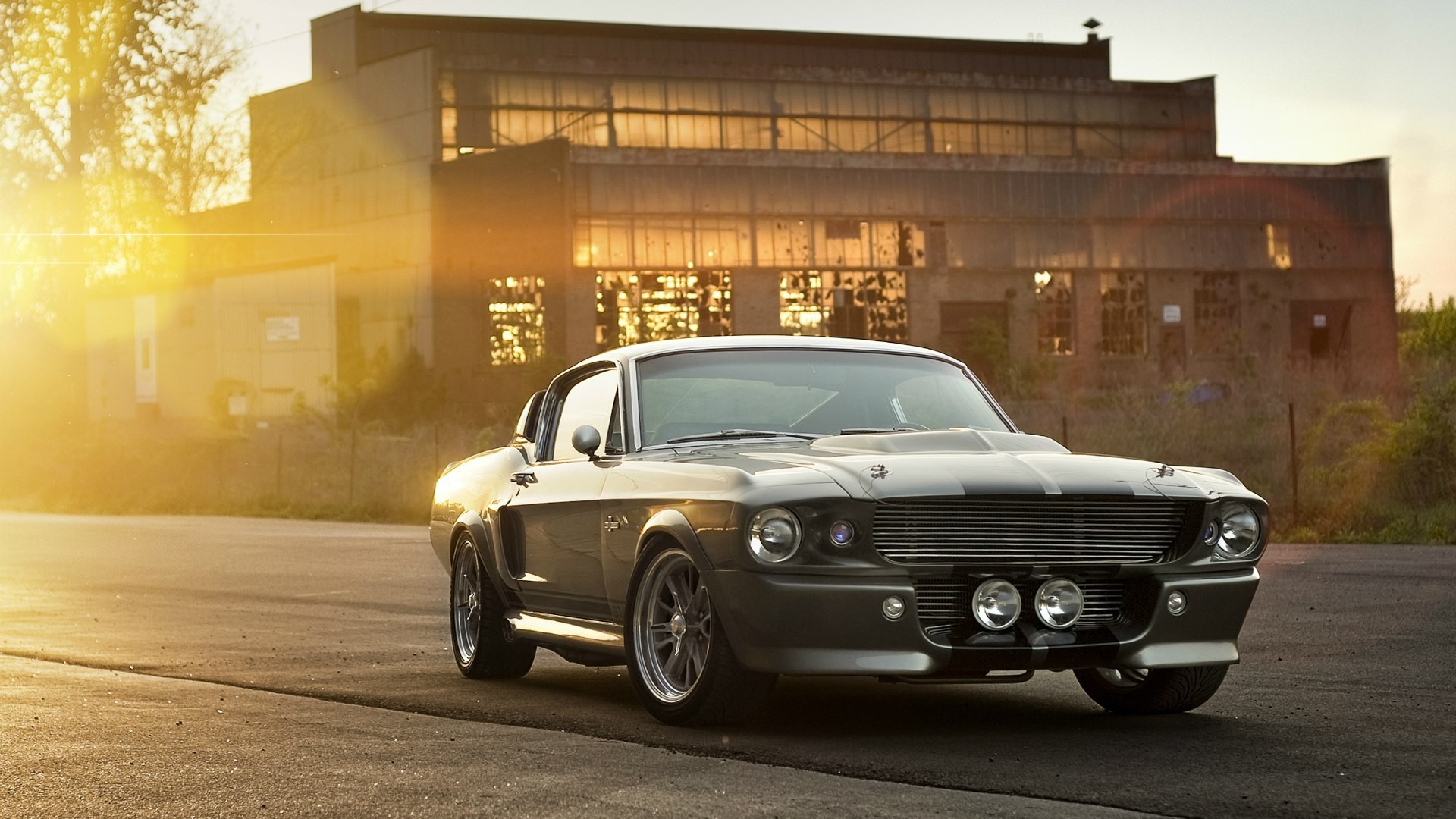 Ford mustang shelby wallpaper
