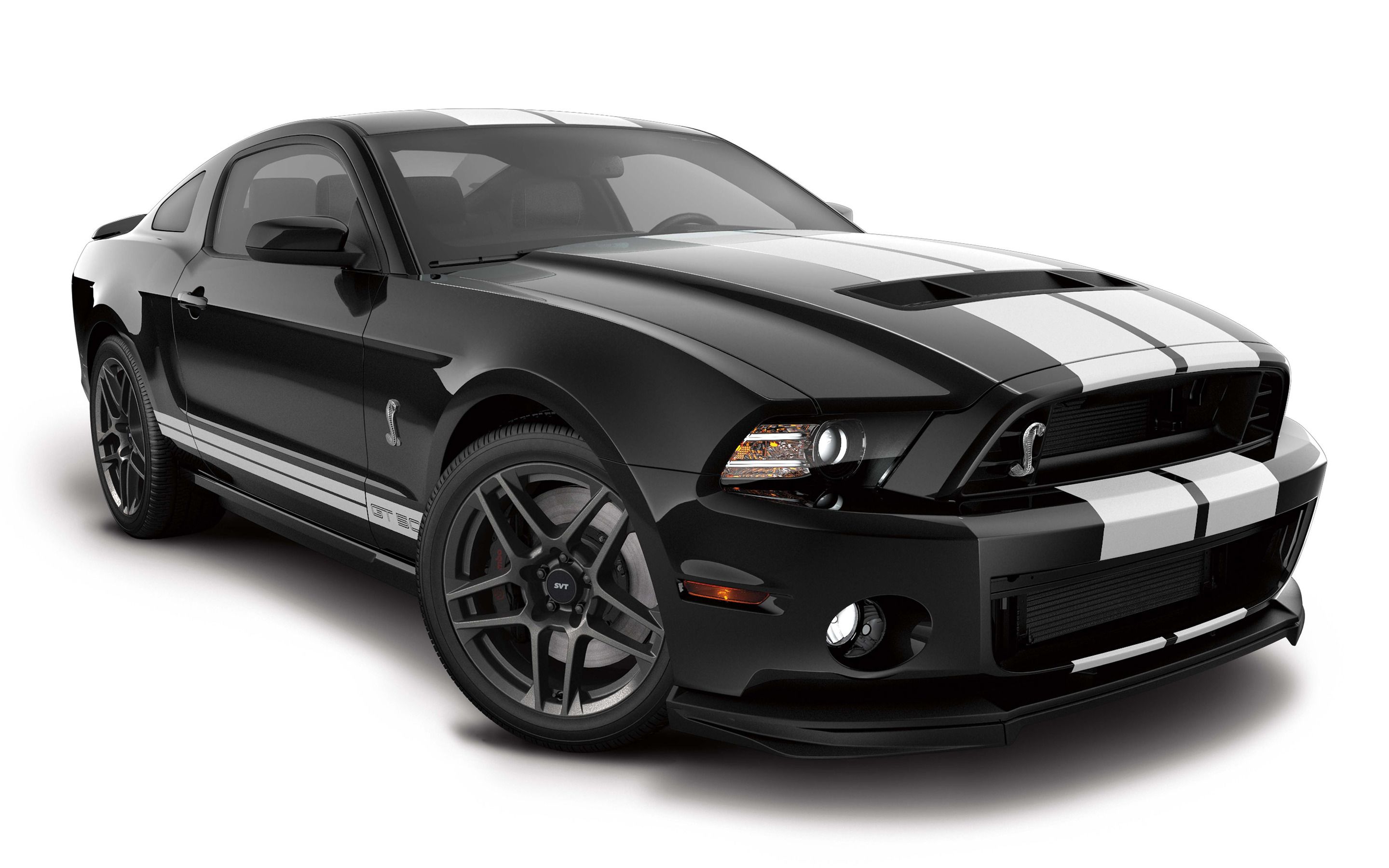 Ford Mustang Shelby GT 500 Wallpaper #32551