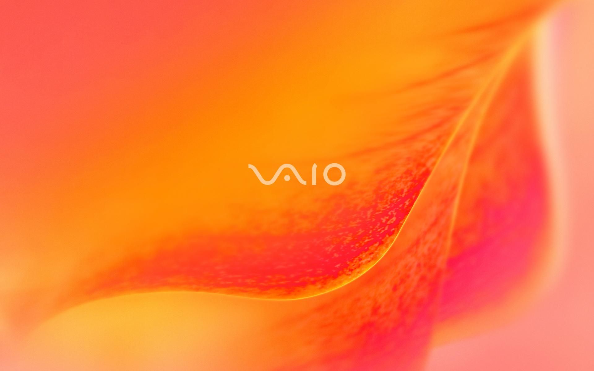 Sony Vaio Wallpaper Orange 30453
