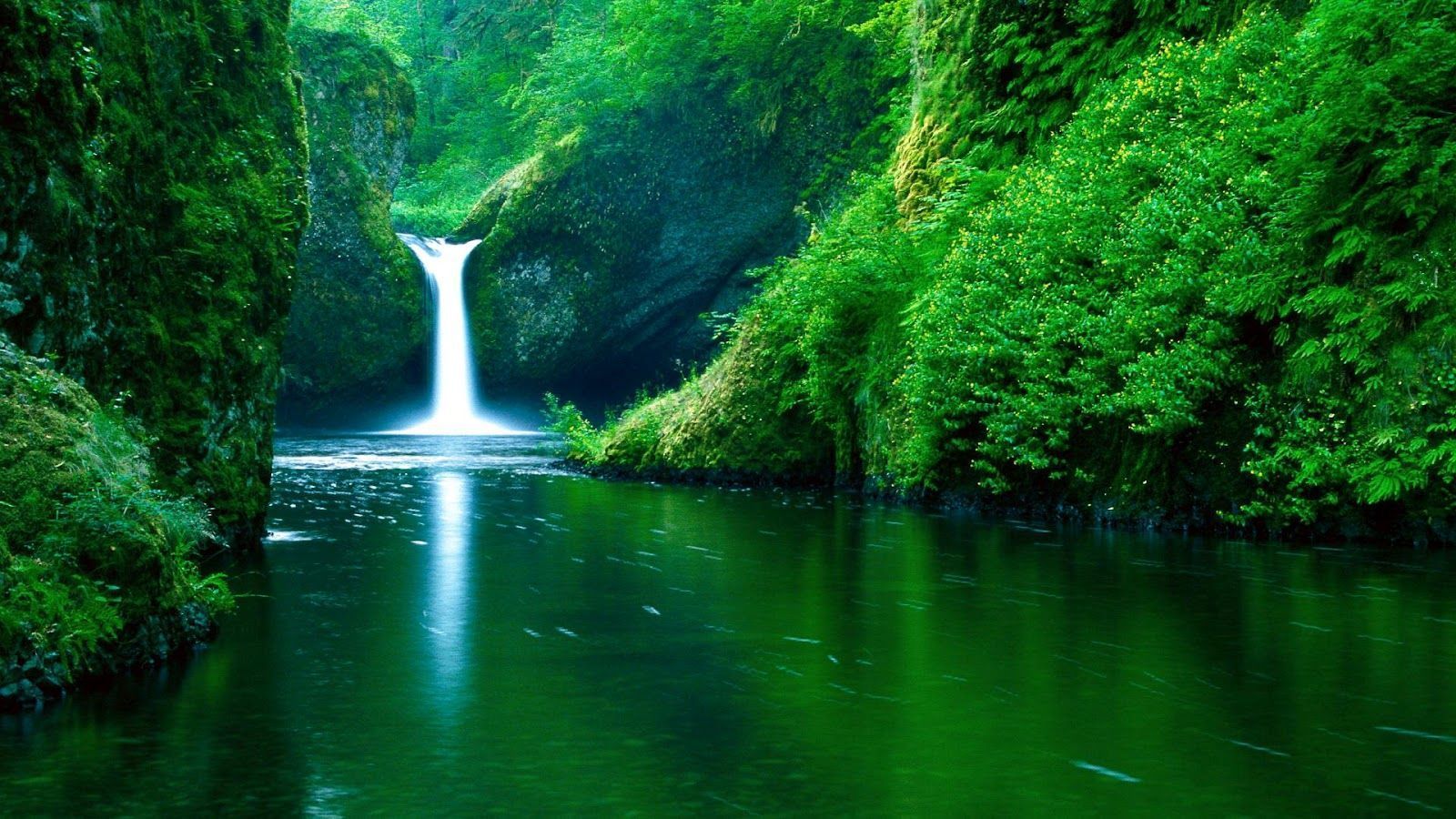Waterfall forest green full HD nature background wallpaper for laptop widescreen