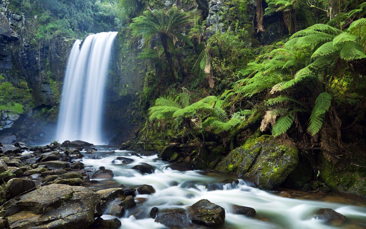 waterfall-hd-wallpaper-for-android-tablet-1280-x-800.jpg