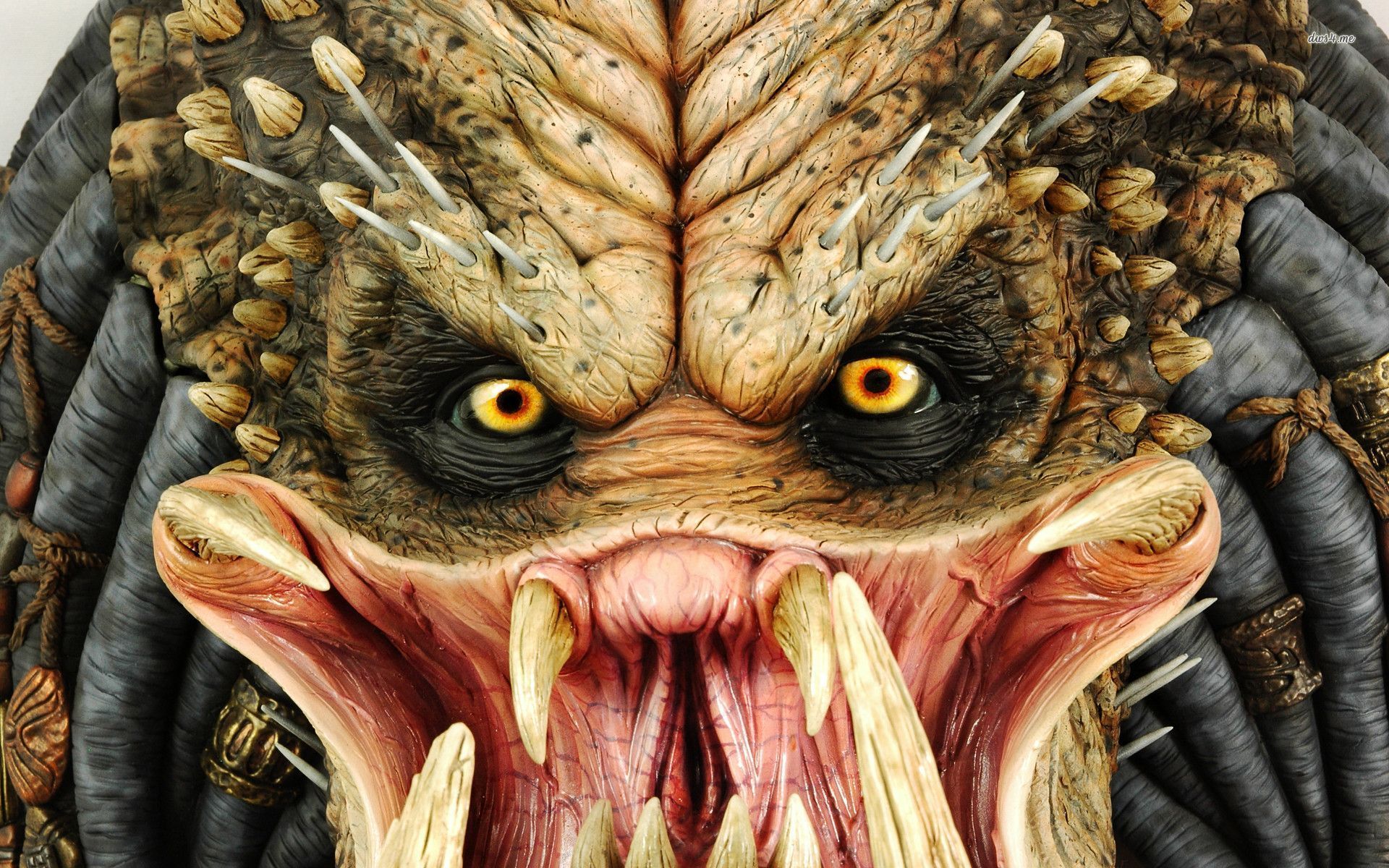 Predator wallpaper - Movie wallpapers -