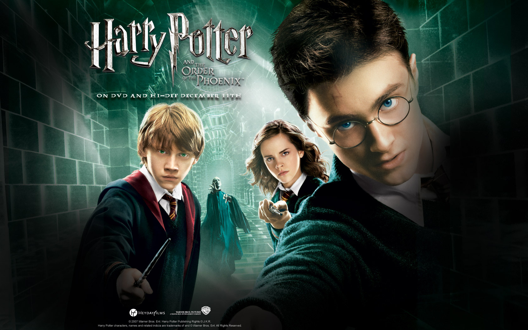 Order of the Phoenix - Harry Potter Wallpaper (931099) - Fanpop