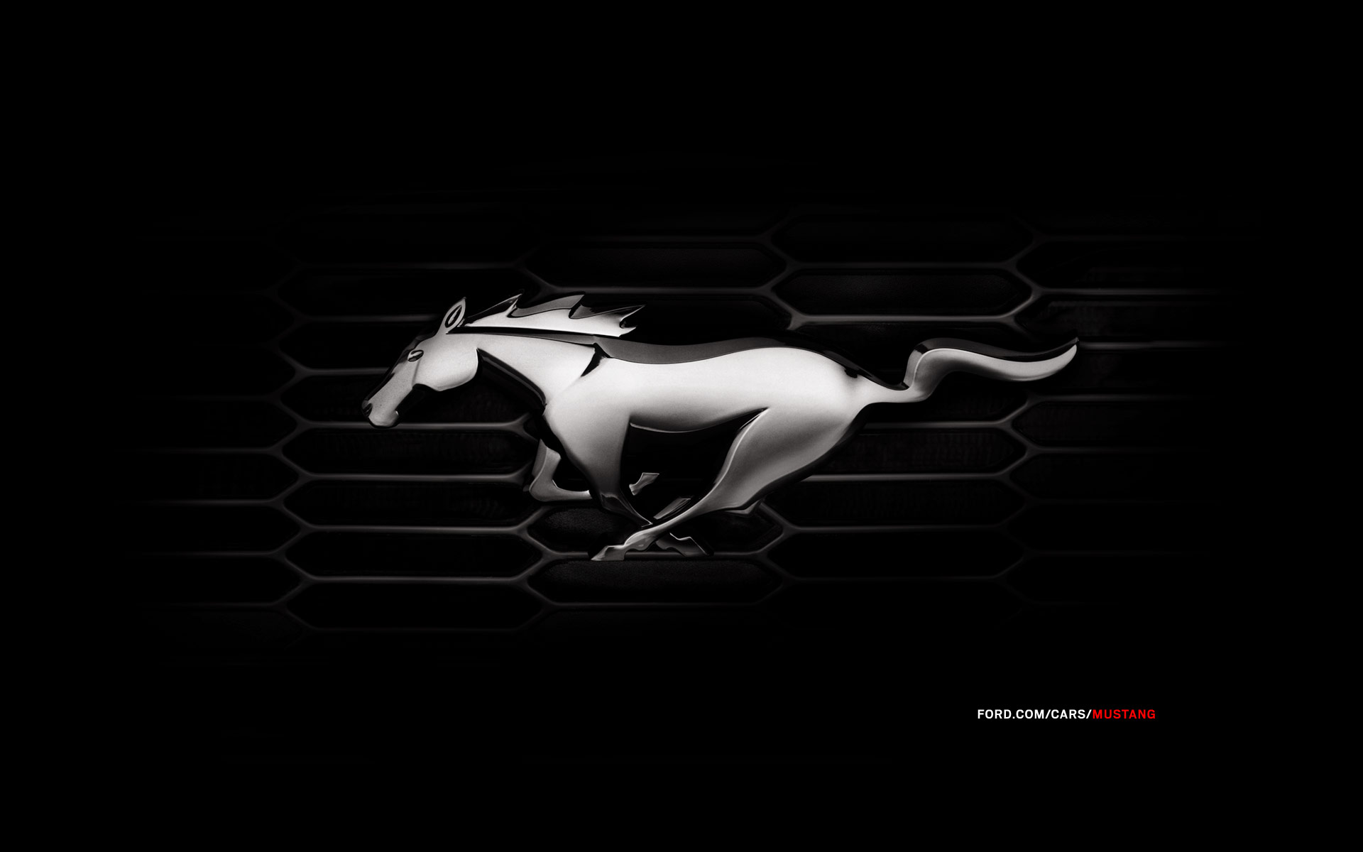 Ford Mustang Logo, ford mustang cobra hd wallpaper - JohnyWheels