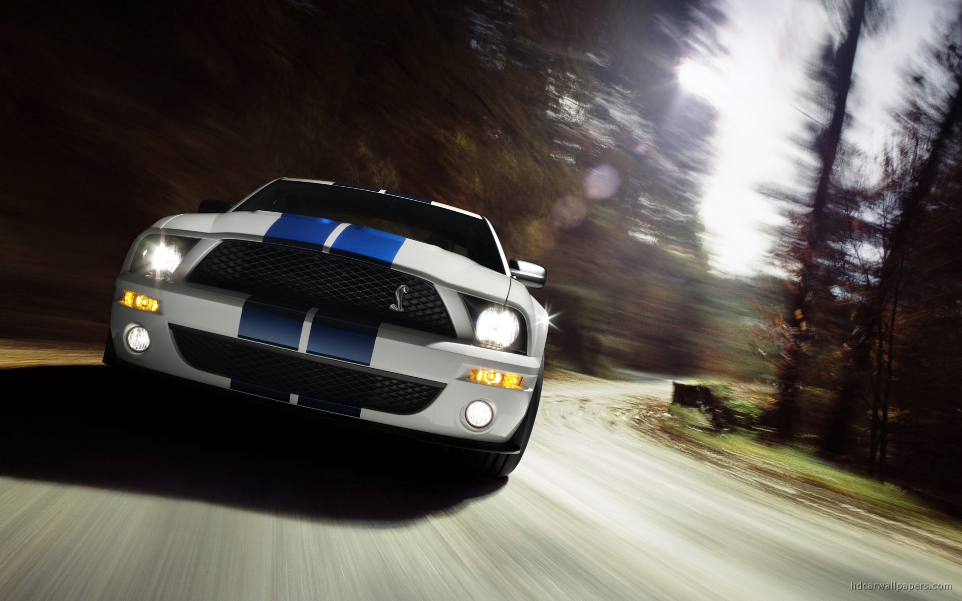 2007 Ford Mustang Shelby GT500, ford mustang cobra hd wallpaper ...