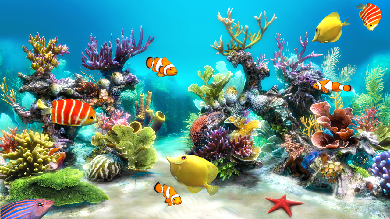 Live aquarium wallpaper