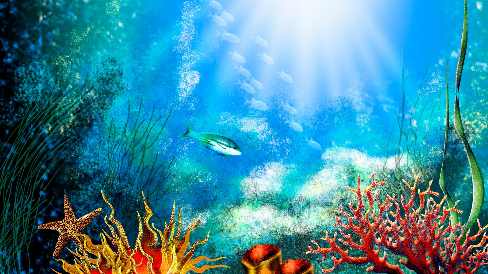 Aquarium Wallpaper 3d Pic Image Num 60