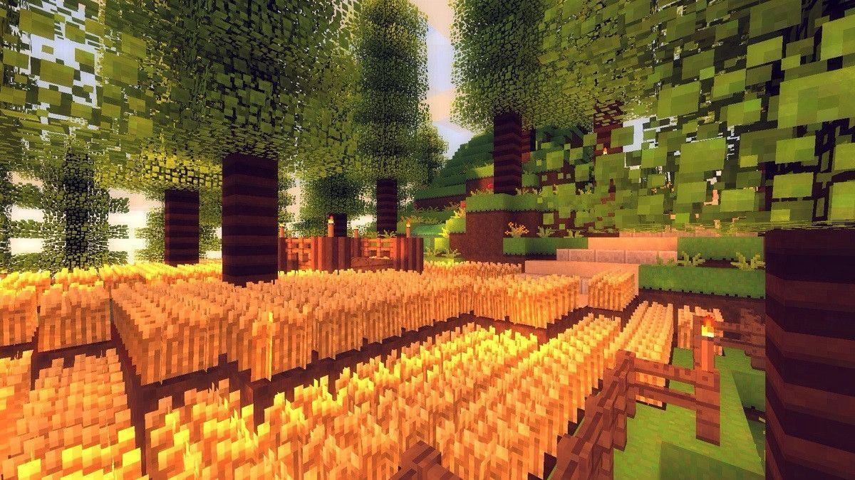Have a nice background using my texture pack, with shaders ...
