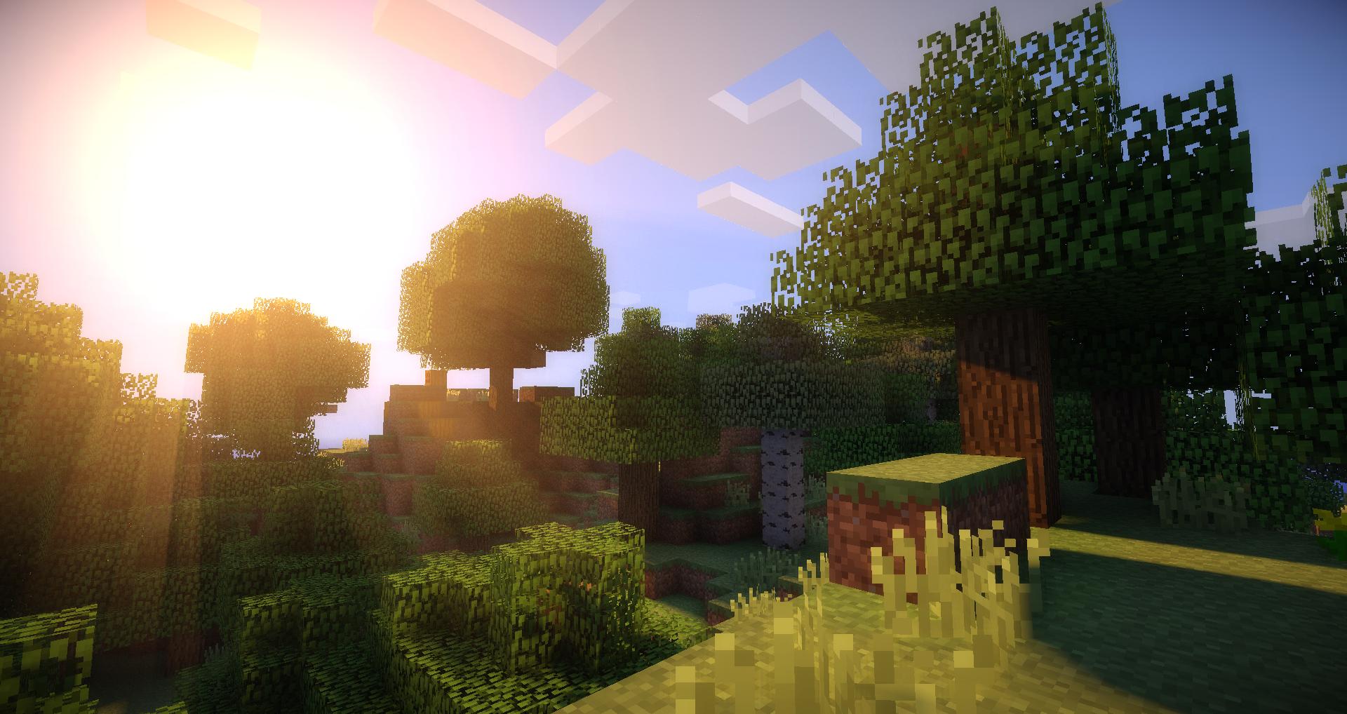 Every time I play Minecraft with shaders I end up with a new ...