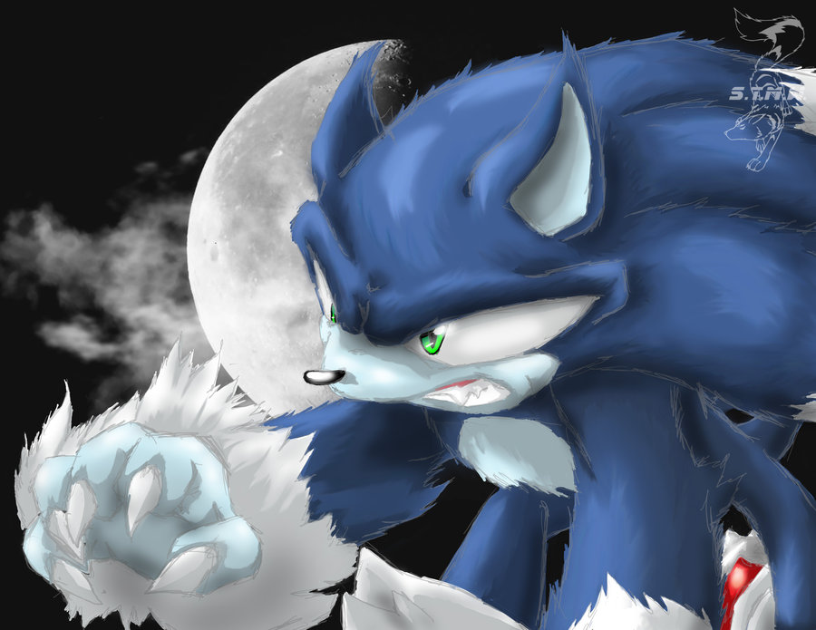 sonic the werehog favourites by forgione125 on DeviantArt
