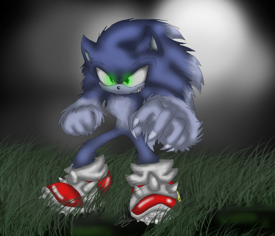 Sonic the Werehog:. by MoonTiger456 on DeviantArt