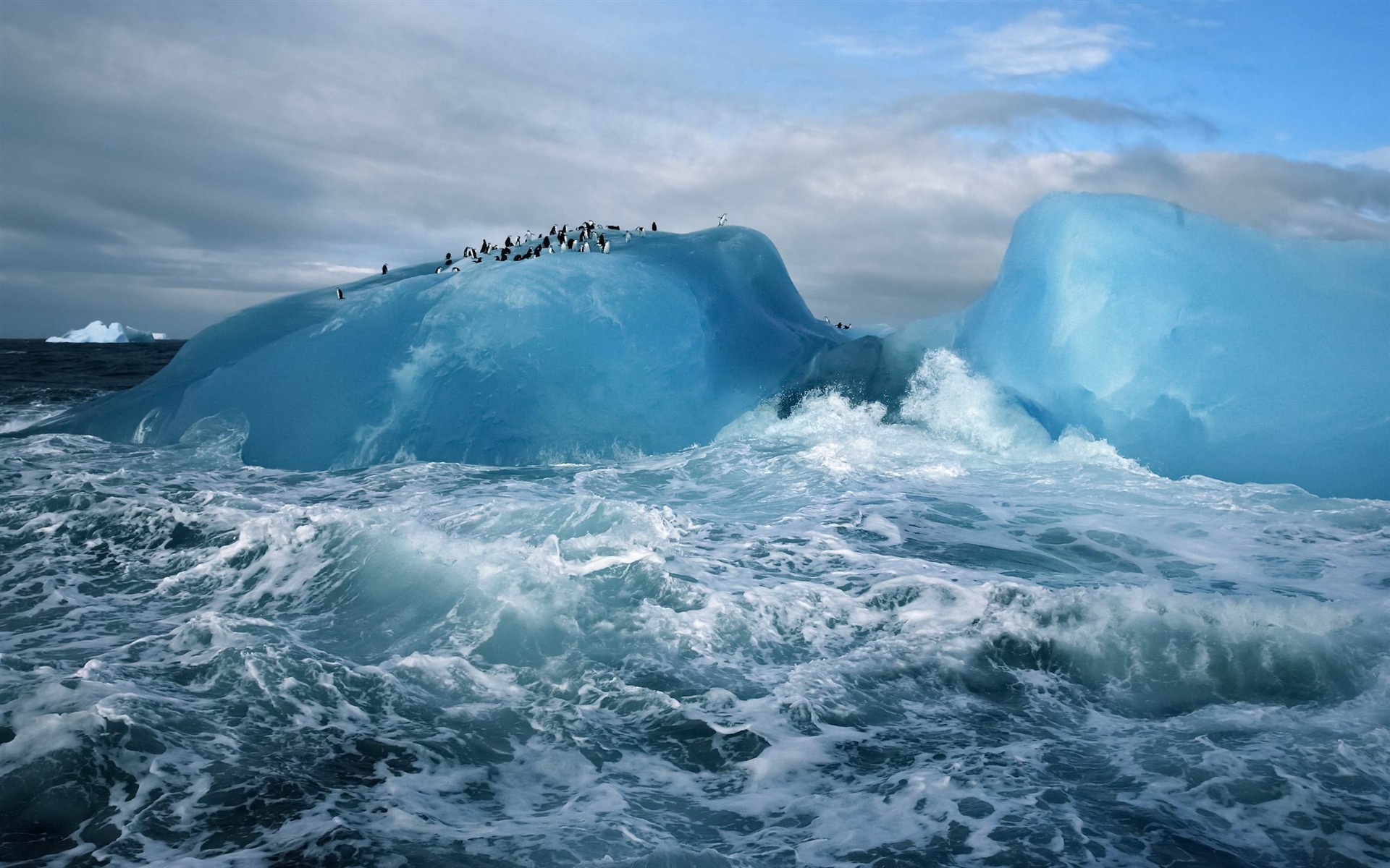 South Sandwich Islands penguins-MAC OS X Mountain Lion HD ...