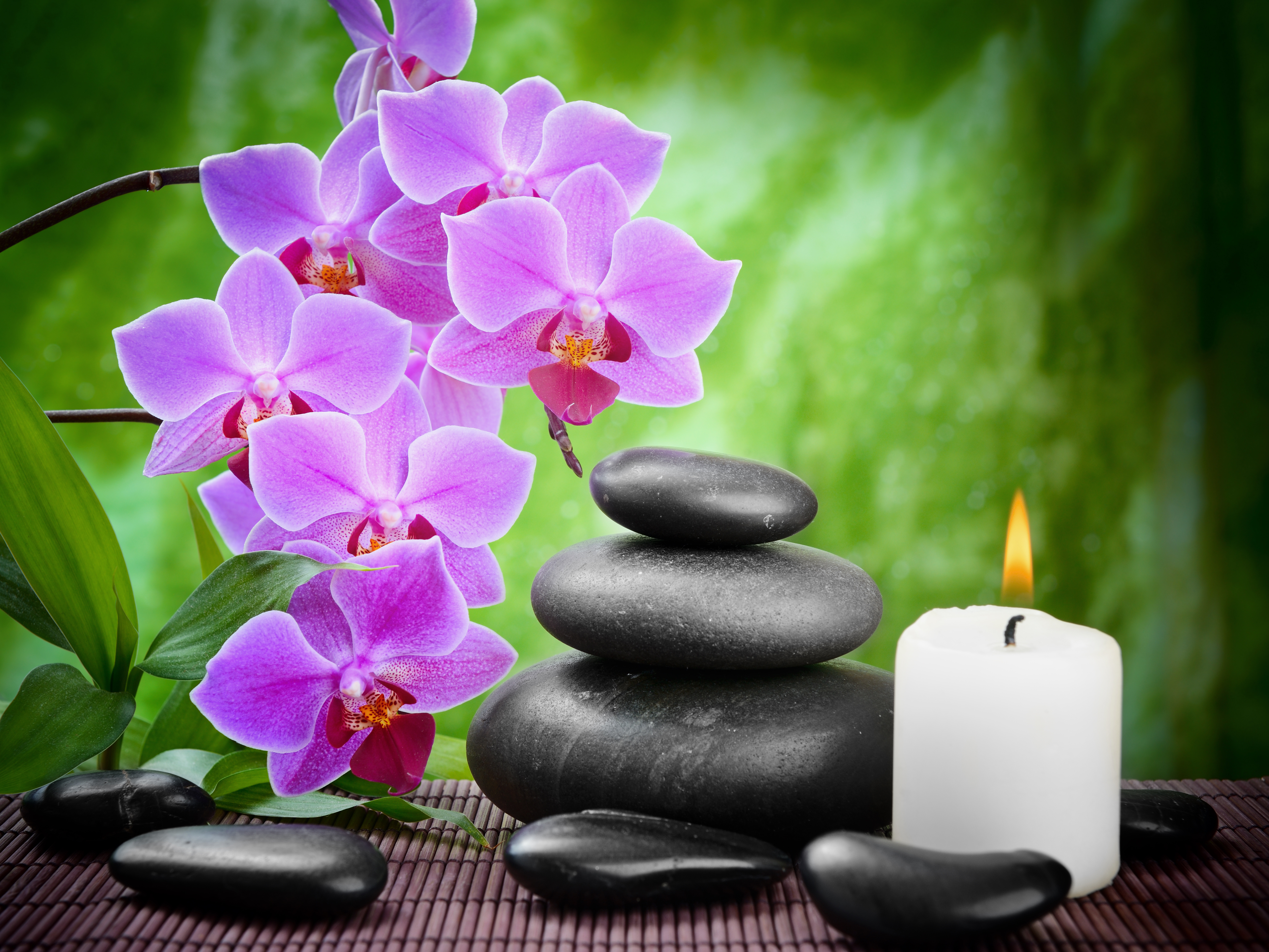 Green Spa Background with Orchidsm1399676400