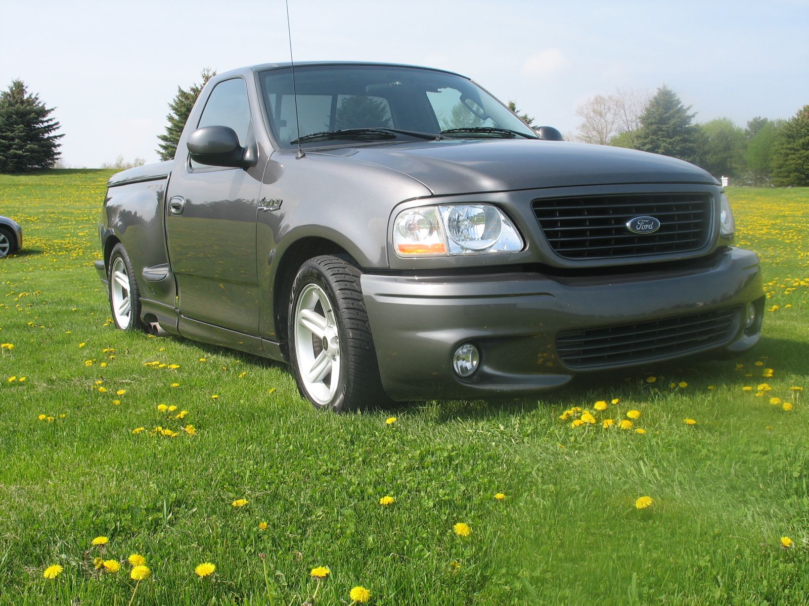 Ford Lightning 1999: Review, Amazing Pictures and Images – Look at ...