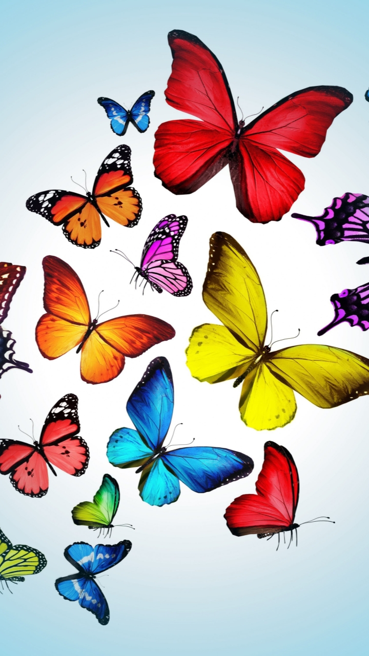 ButterfliesSamsung Wallpaper Download Free Samsung Wallpapers