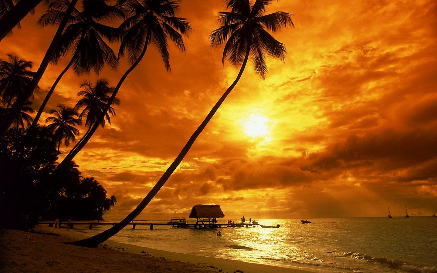 Tropical sunset wallpaper - Beach Backgrounds