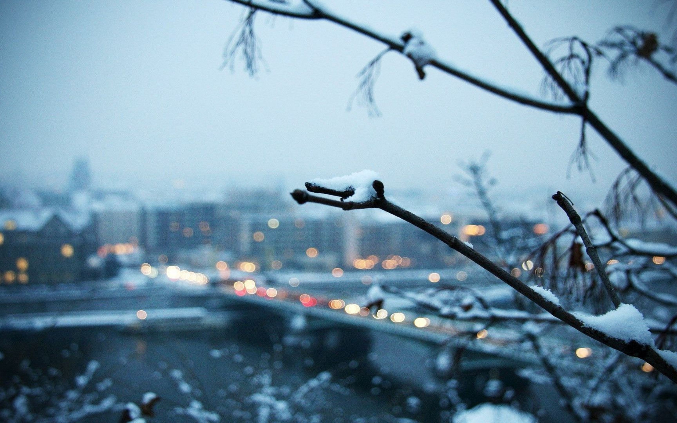 Snowy Branch With The City In The Background Mac Wallpaper ...