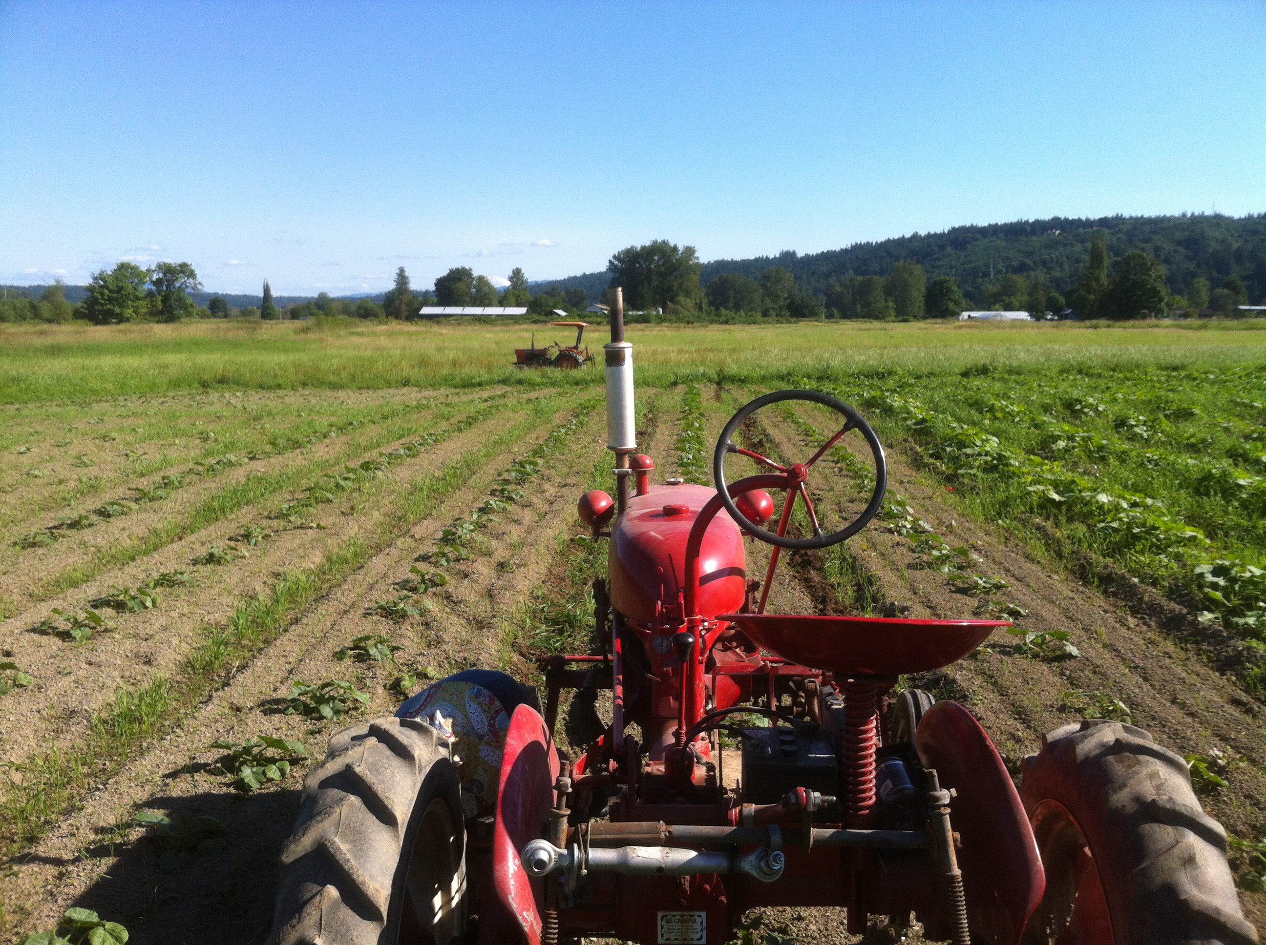 Tractor Cultivation | Local Roots Farm