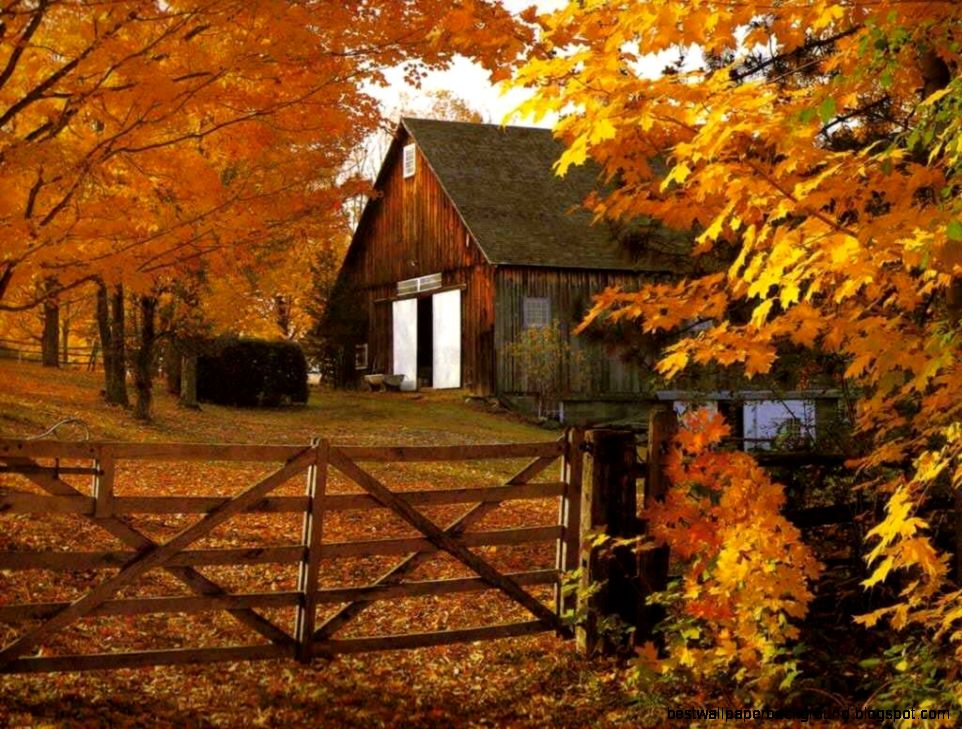 Country Fall Wallpaper Best Wallpaper Background