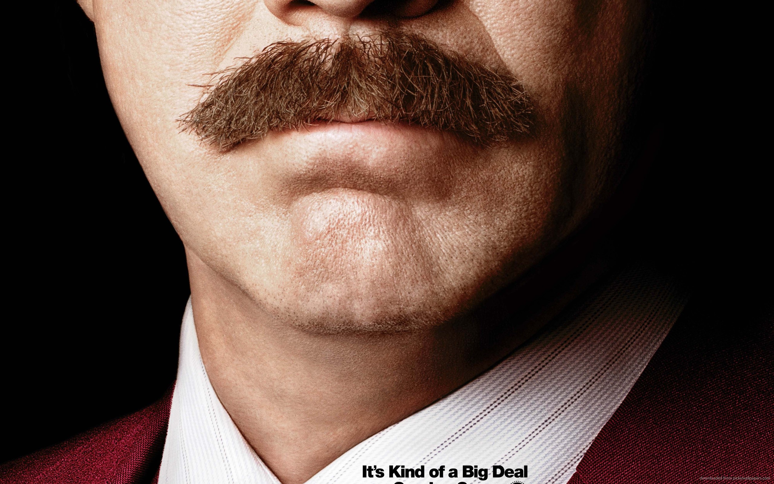 Download 2560x1600 Anchorman 2: The Legend Continues Mustache ...
