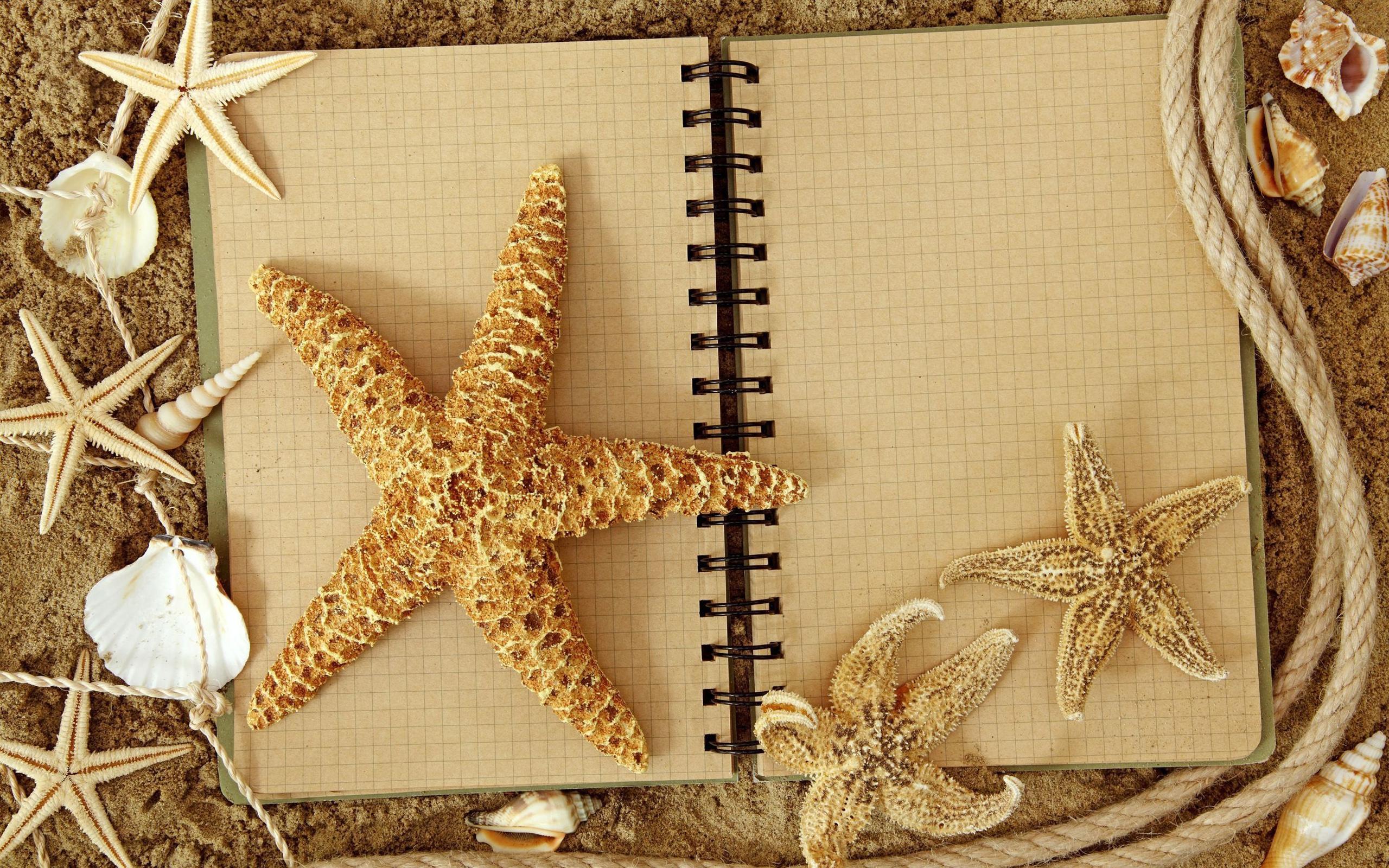 Starfish Notebook HD Wallpaper, get it now