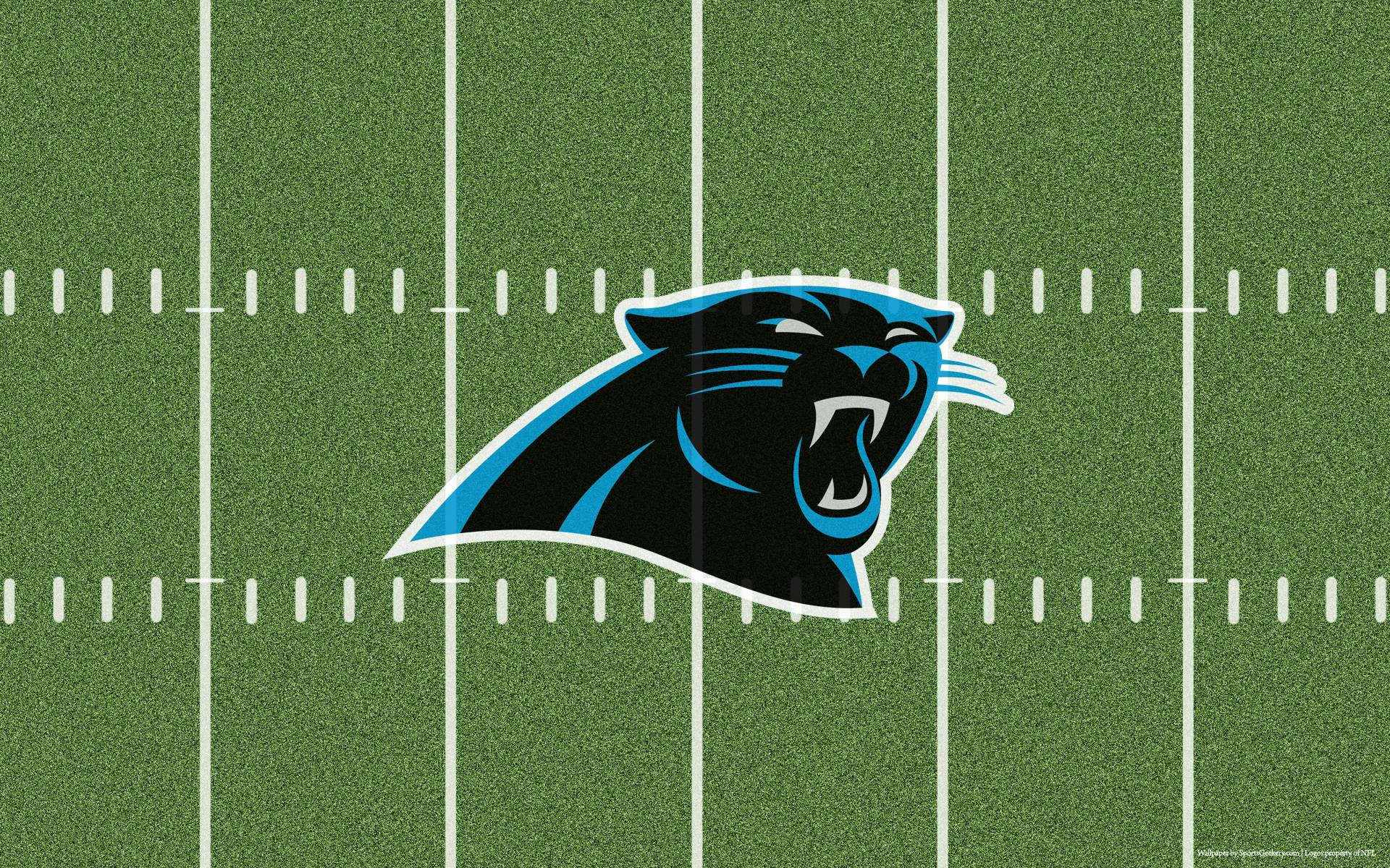 Carolina Panthers wallpaper HD background download desktop