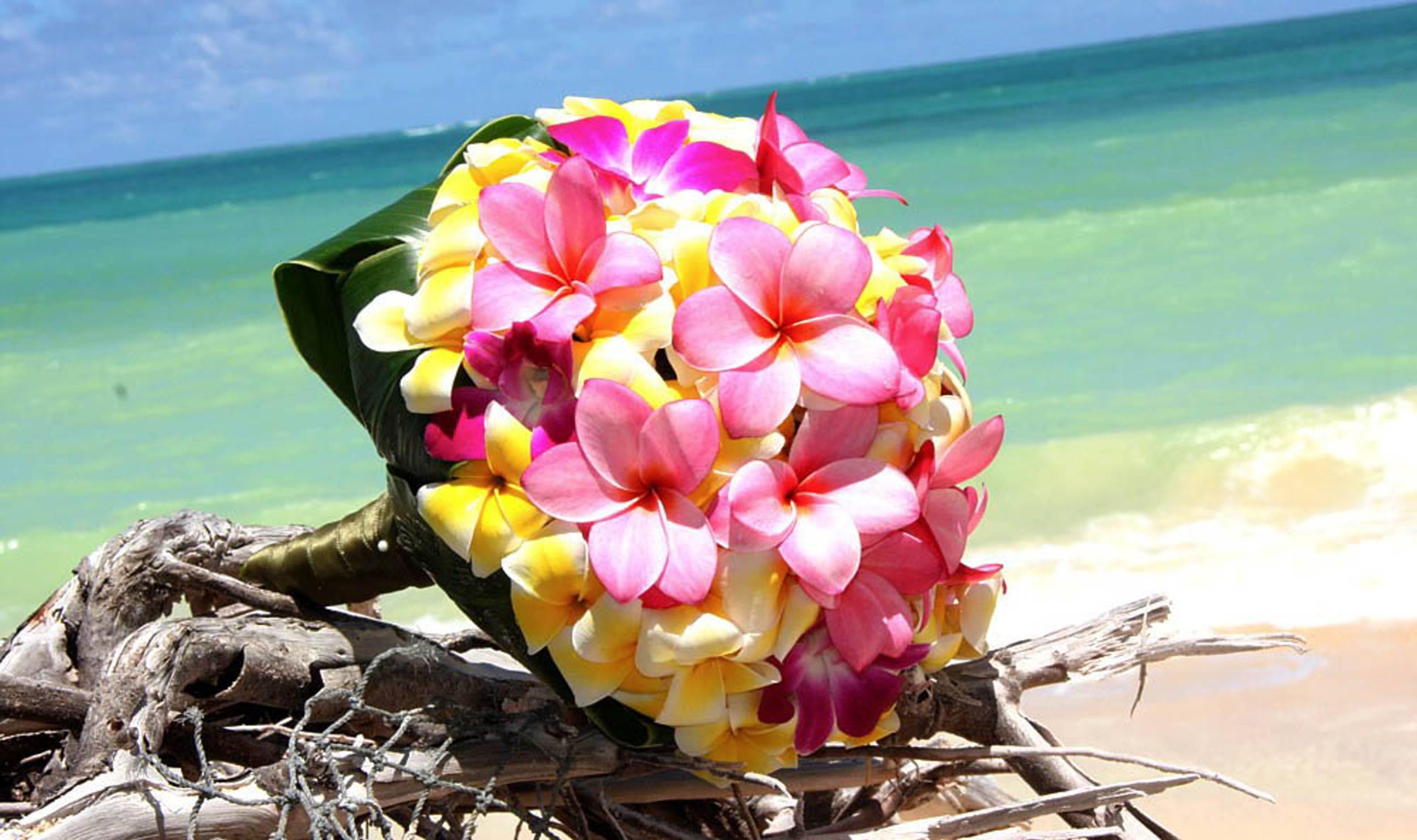 Plumeria garland of exotic tropical flowers on white sand beach ...