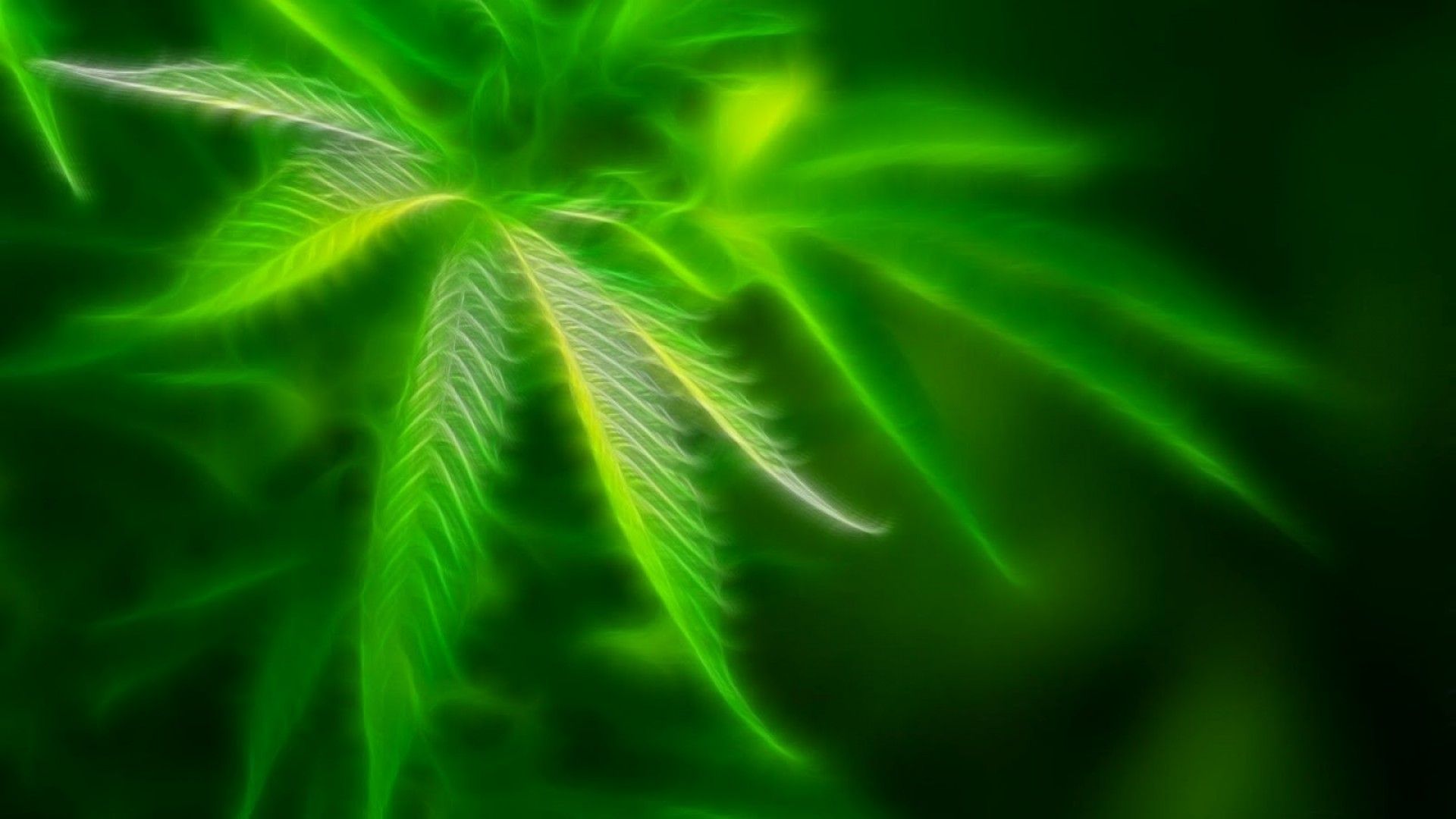 Marijuana weed 420 ganja y wallpaper 1920x1080 171590