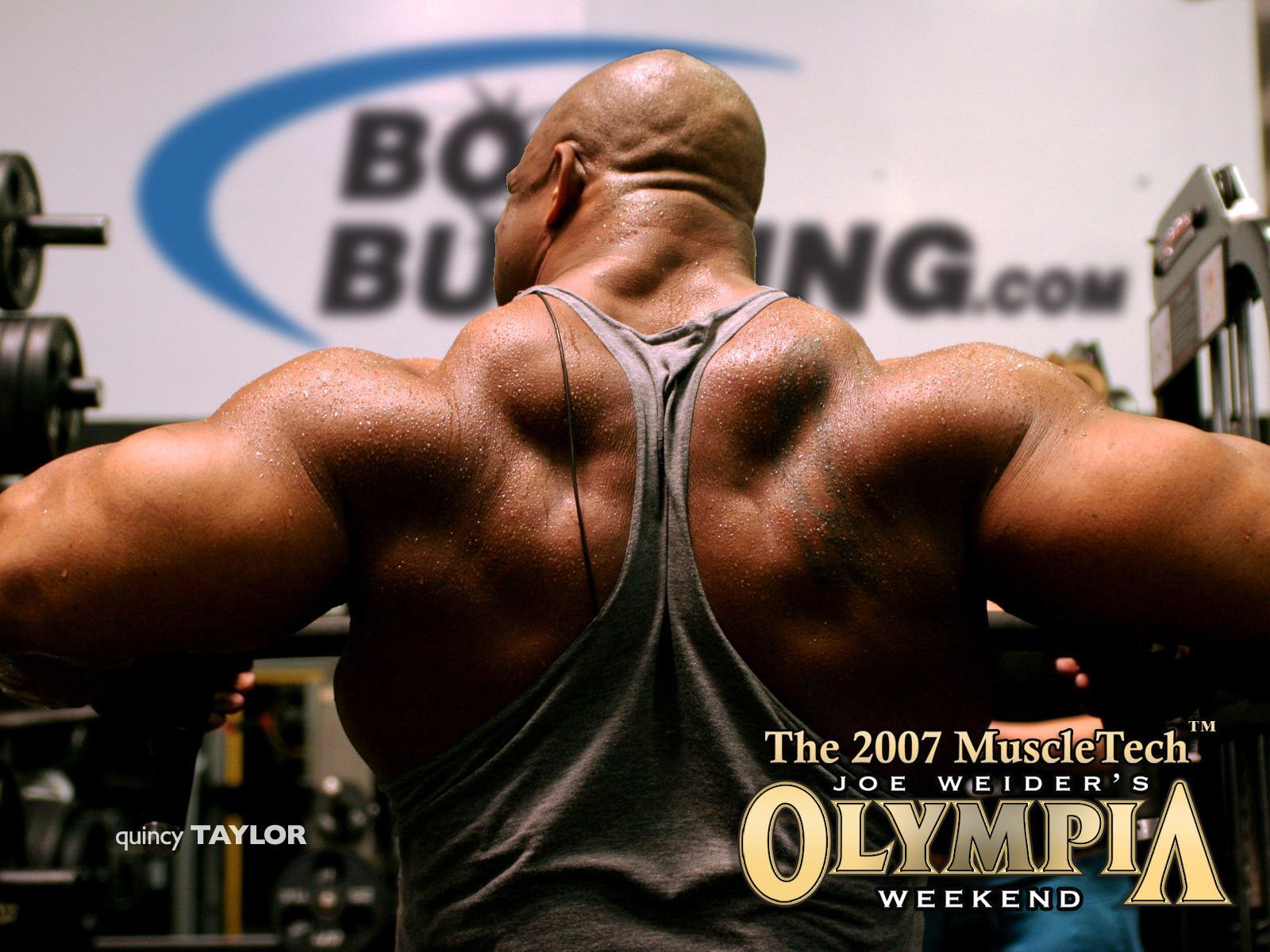 Wallpapers Mr Olympia - Wallpaper Cave