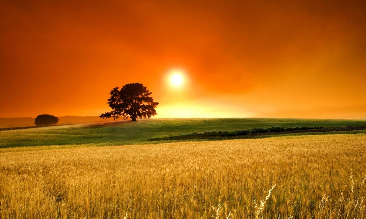Nature Wallpapers, Hd Landscape Images, Nature Backgrounds, View ...