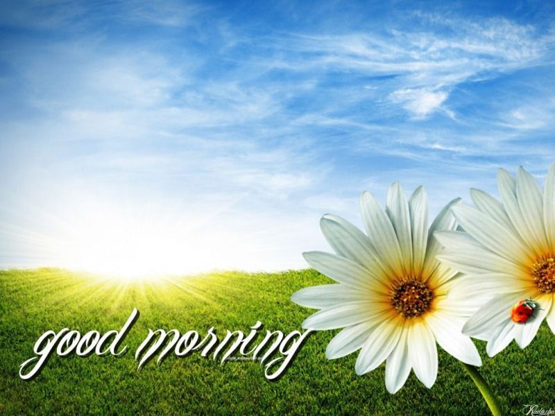 Good Morning Wallpapers | One HD Wallpaper Pictures Backgrounds ...