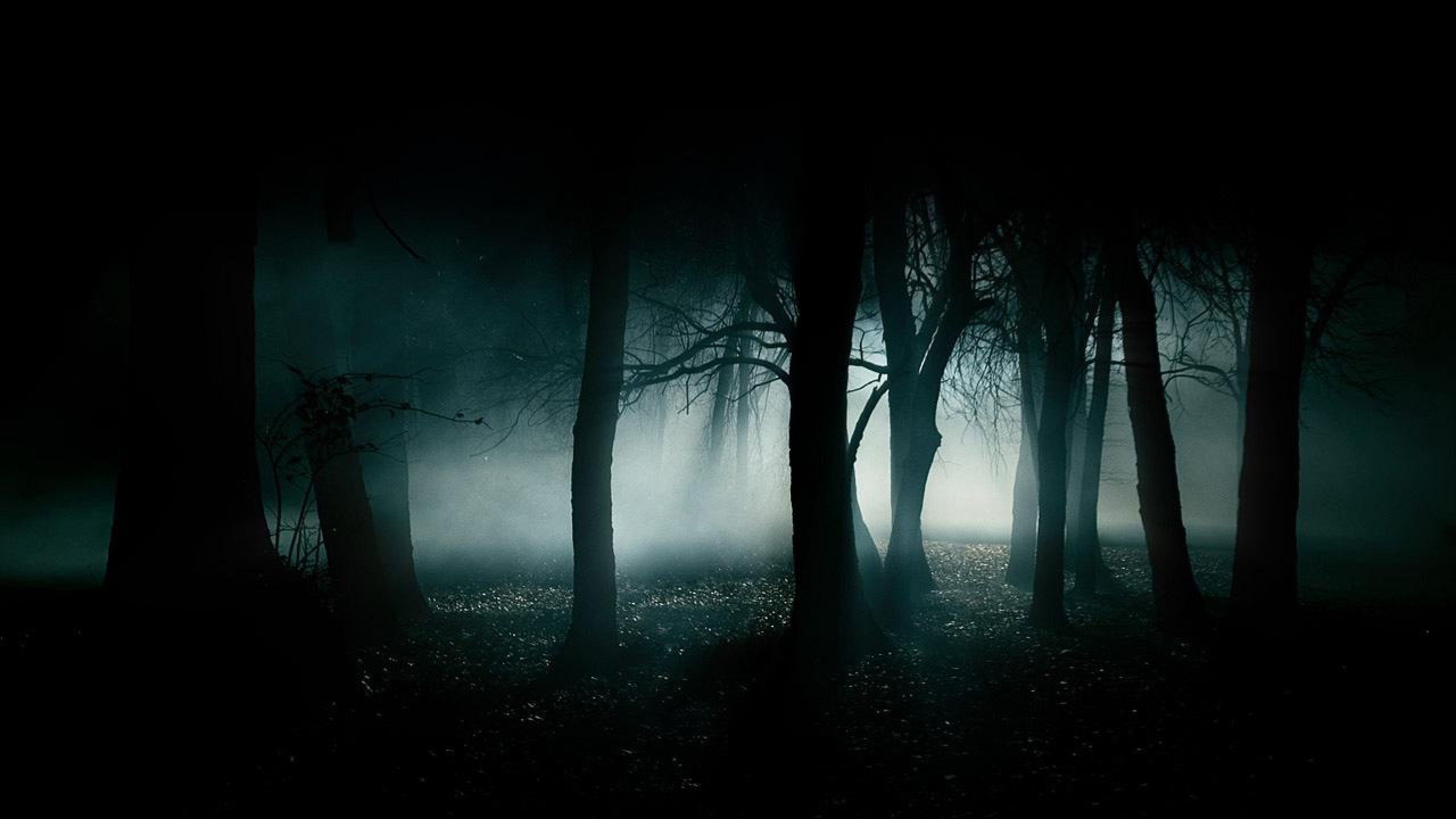 Dark Background Pictures - HD Wallpapers Lovely