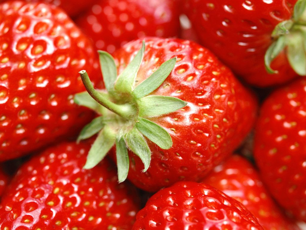 Download strawberry wallpapers Most beautiful places in the