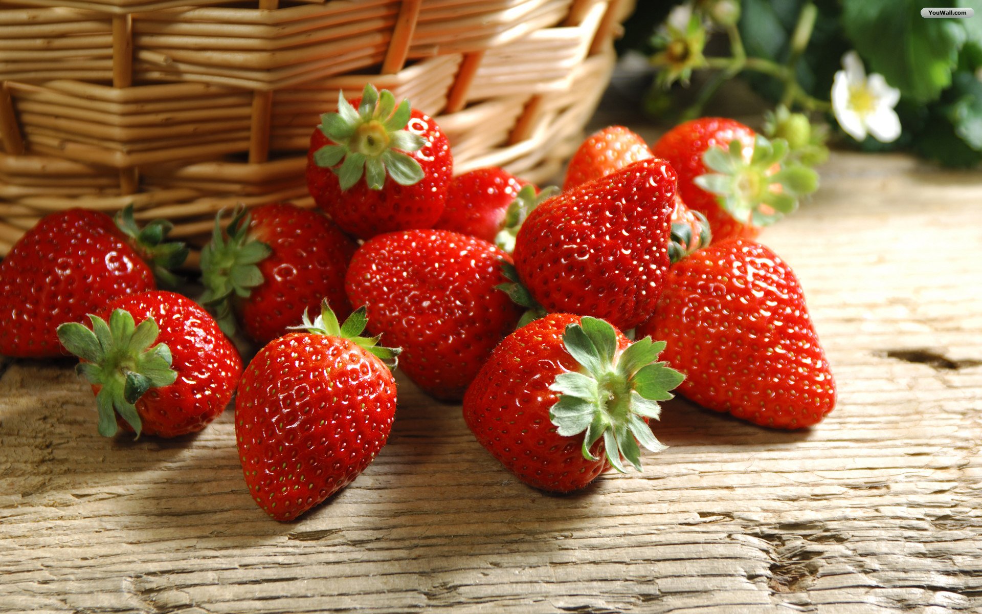 HD Cute Strawberries in The Basket Wallpaper for Desktop Full Size