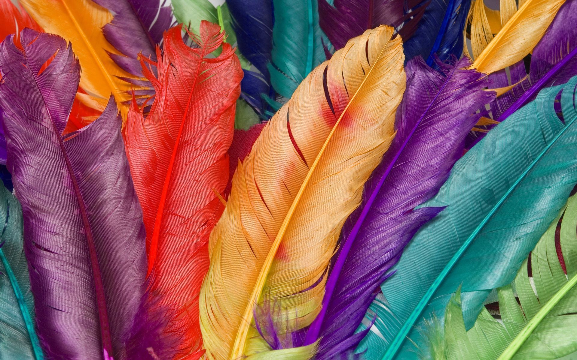 Feather Desktop Wallpaper, Feather Images Free, New Wallpapers