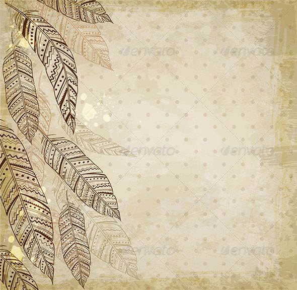 Decorative Background with Feathers GraphicRiver