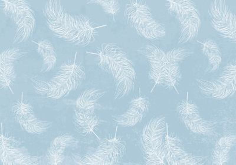 Feather Background Free Vector Art - 9399 Free Downloads