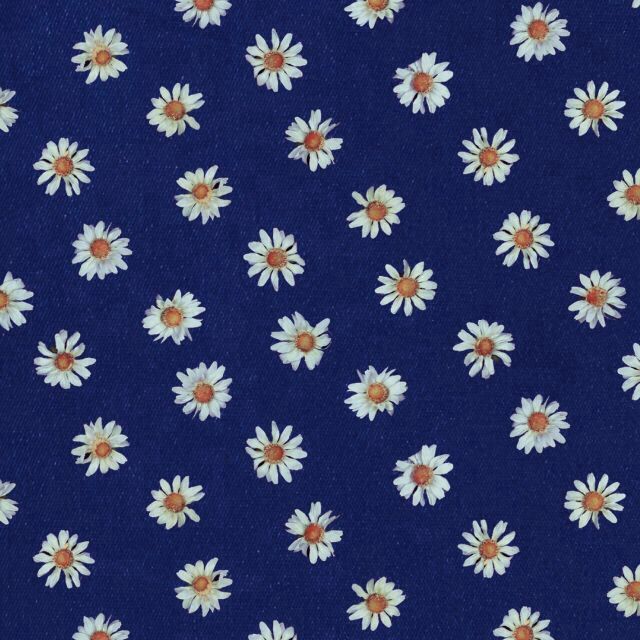 Navy blue background white daisies print | Prints | Pinterest ...