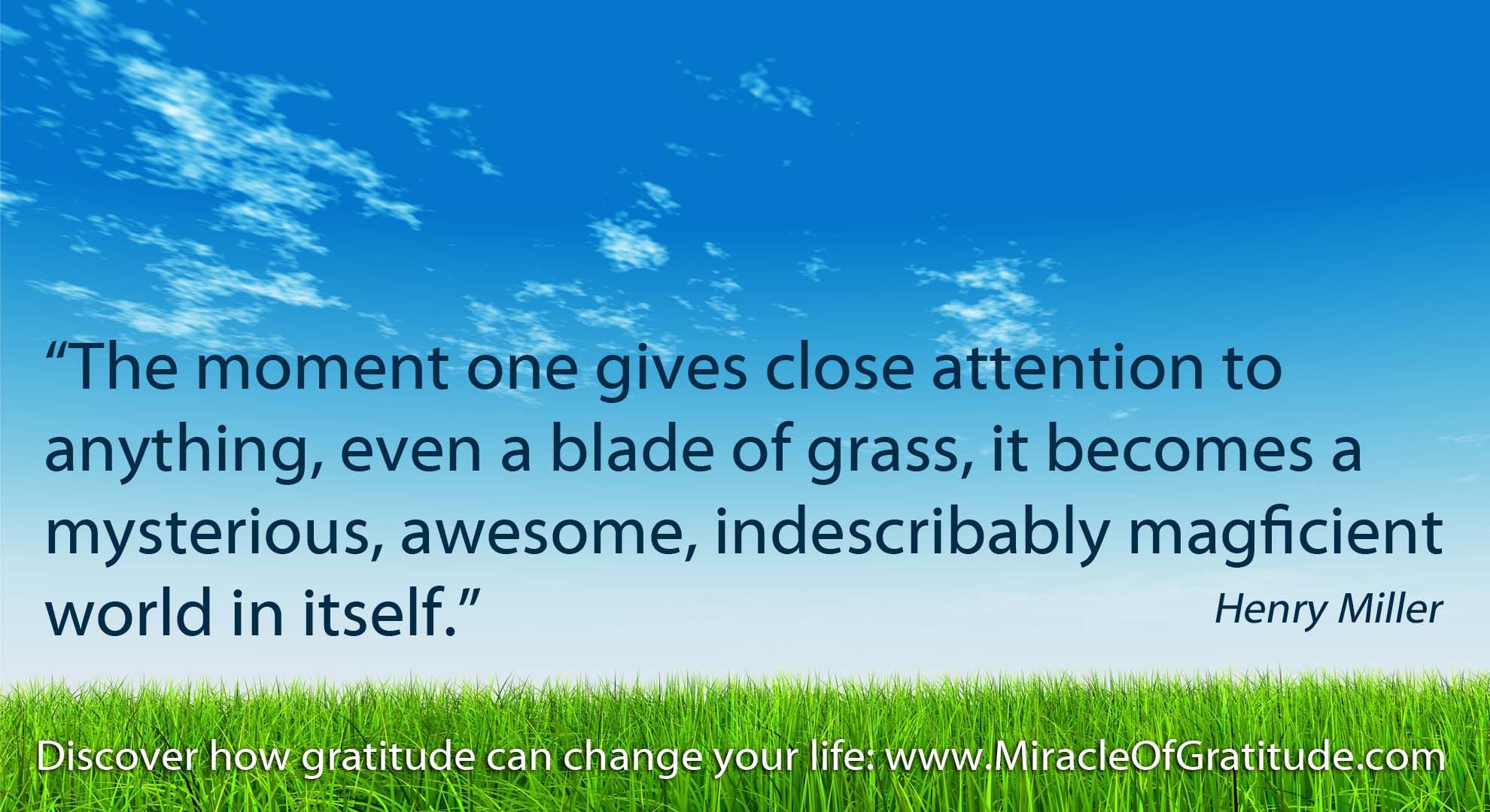 Inspirational Gratitude Quotes: Download This Week's Gratitude ...