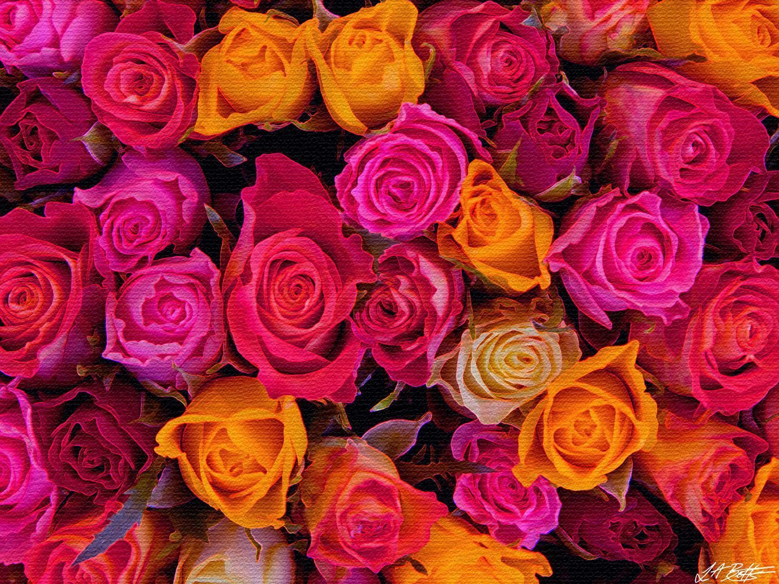1600x1200 Full Screen “Roses” Wallpaper by L A Betts - Leone ...
